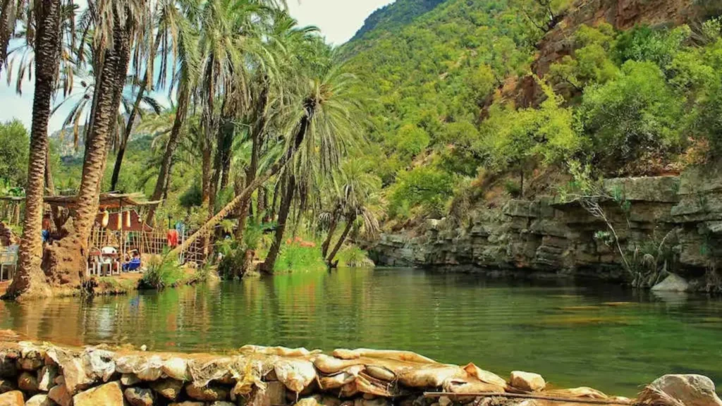 paradise valley